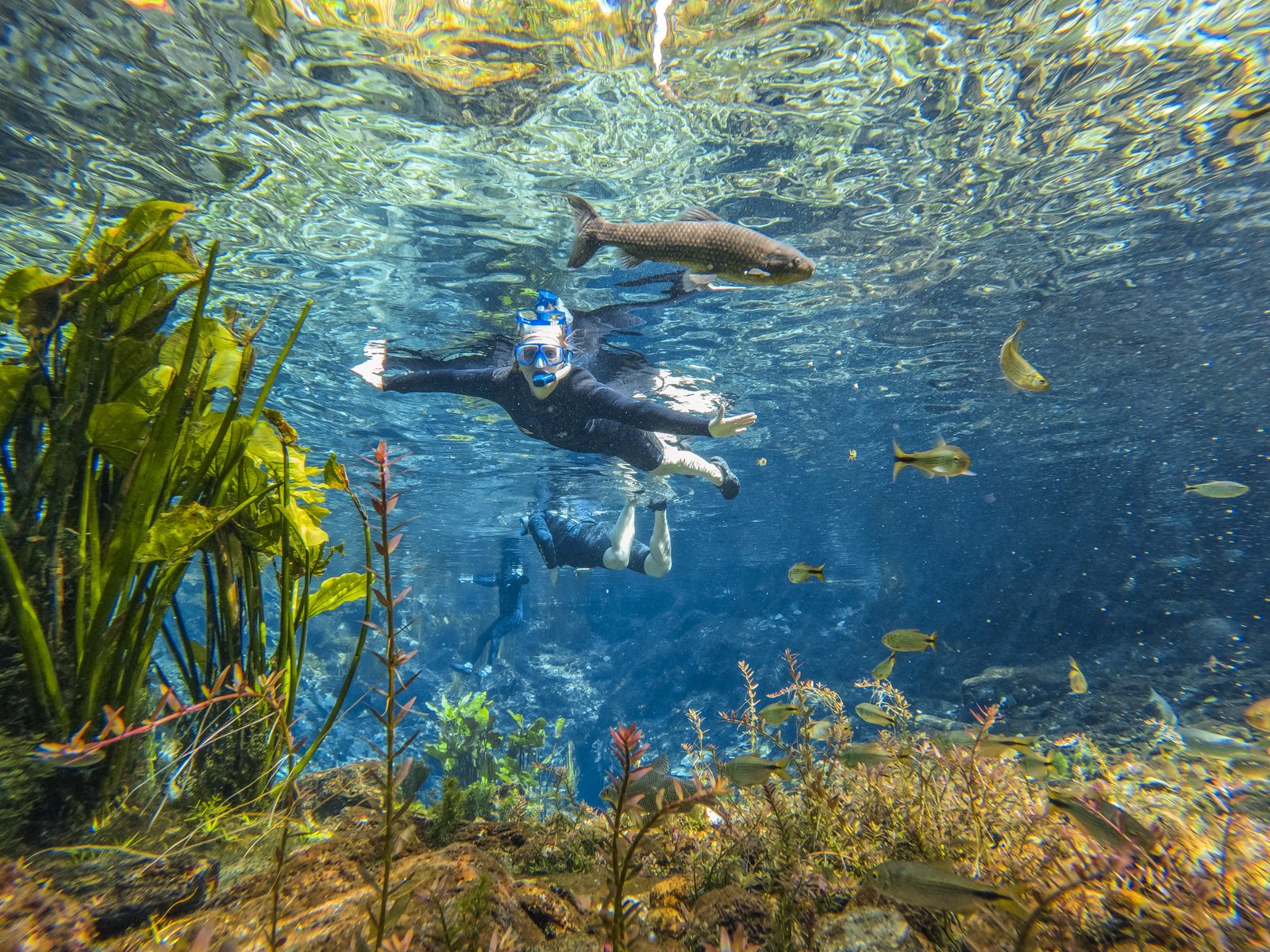 Nascente Azul